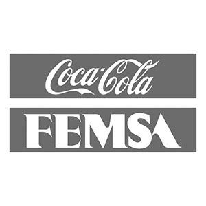 femsa femsa